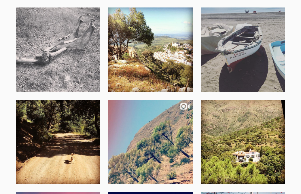Instagram (as a library of potential scene settings)